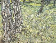 Vincent Van Gogh Pine Trees and Dandelions in the Garden of Saint-Paul Hospital (nn04) oil on canvas